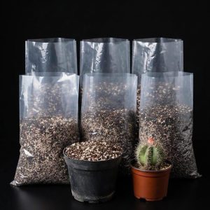 Sustrato para Cactus