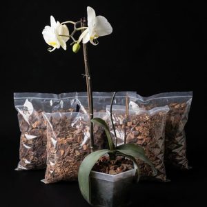 Sustrato de Orquidea